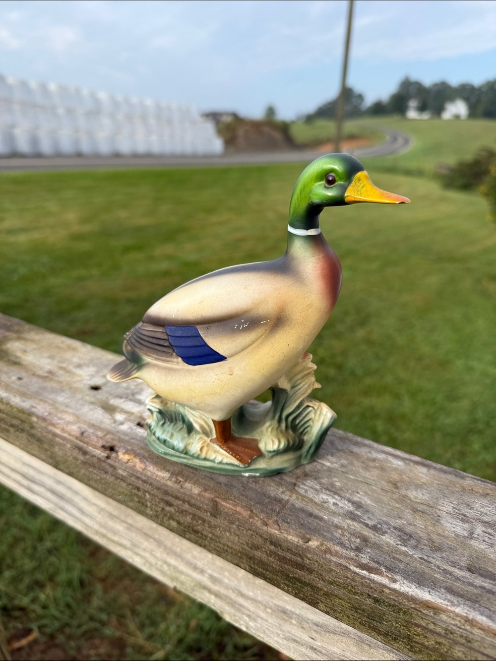 Vintage handpainted back in the 70s Mallard Duck has beautiful hues of green and
